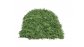 Маскировочная сетка Нитекс Папоротник Трава 2х3 м зеленая – купить по цене 4500 руб. в интернет-магазине в городе Йошкар-Ола картинка 3