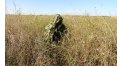 Маскировочный халат Taganrog Кикимора – купить по цене 3550 руб. в интернет-магазине в городе Йошкар-Ола картинка 13
