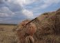Маскировочный халат Taganrog Призрак